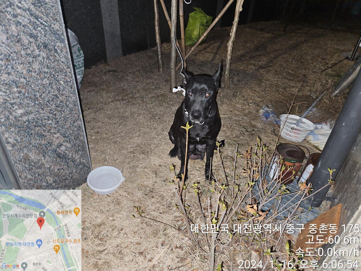 대전동물보호센터_430365202400014